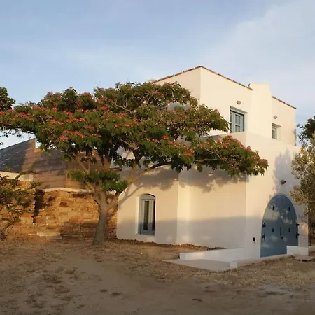 Apartment Casa Citrus Naxos City